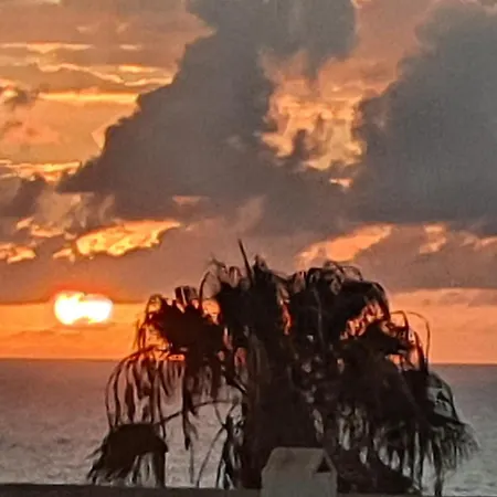 Hera House * Parque Holandes