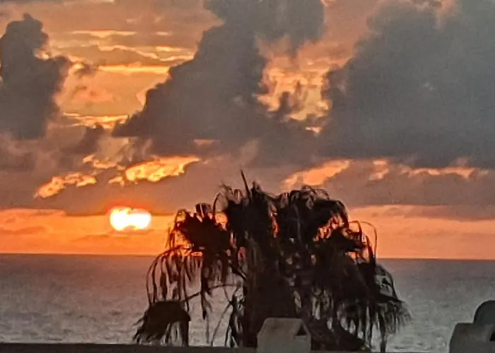 Hera House * Parque Holandes